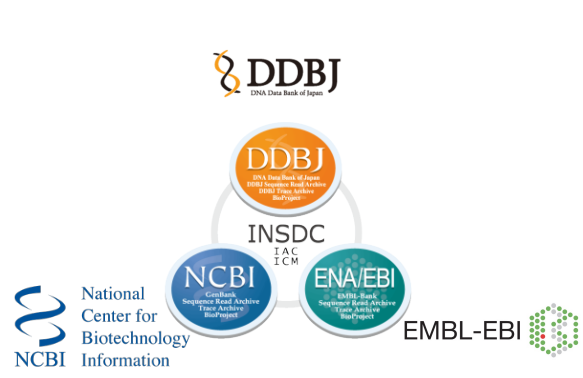 databases